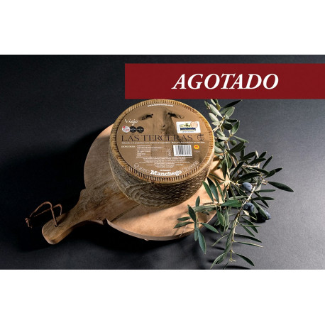 Aged Manchego cheese P.D.O.